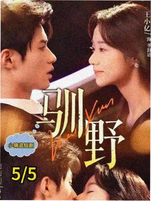 剧集时长趋势配图